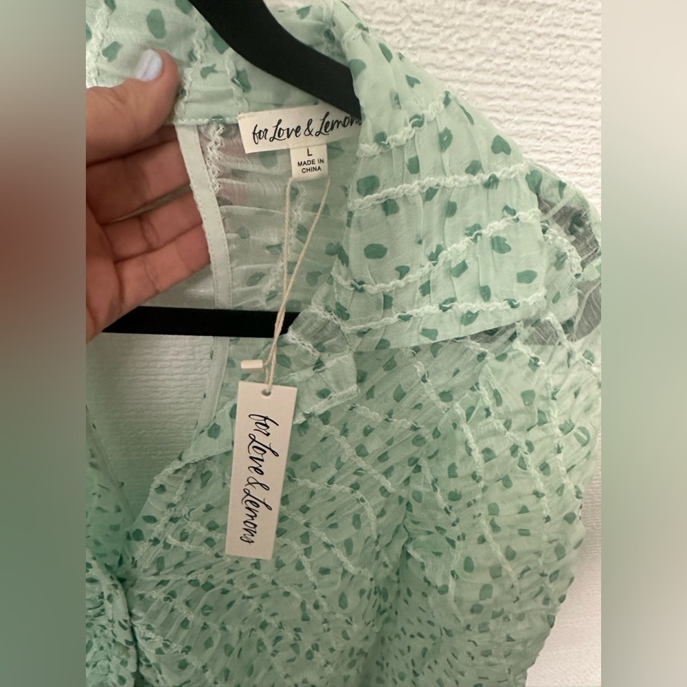 For Love & Lemons Mint Green Sheer Dress - Picture 9 of 10